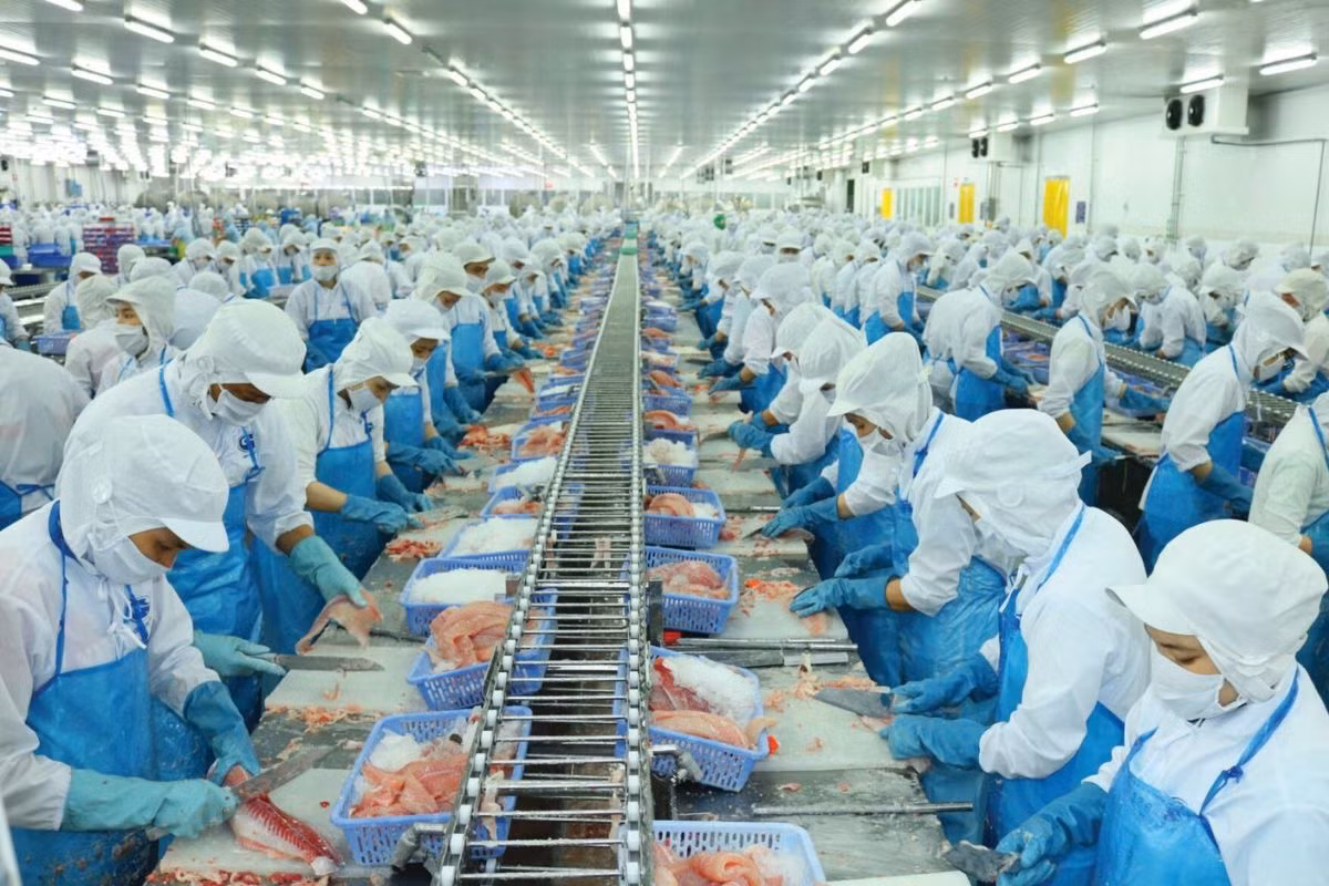 Các doanh nghiệp lo thuế VAT dịch vụ xuất khẩu sẽ làm giảm cạnh tranh hàng hóa của Việt Nam