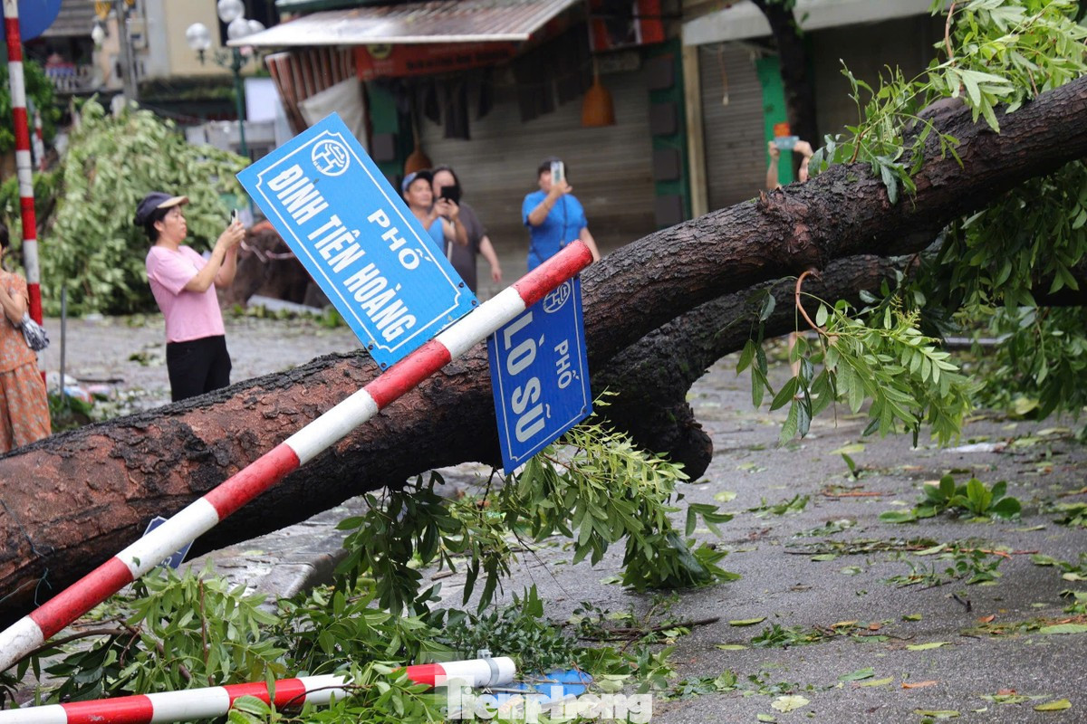 Hàng nghìn cây xanh tại Hà Nội bị gãy đổ do ảnh hưởng bão số 3.