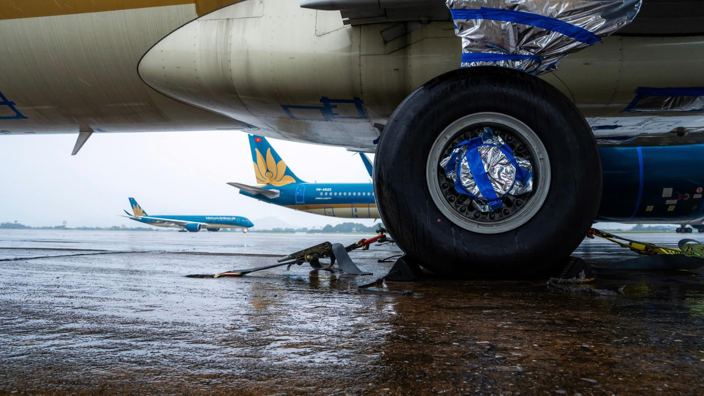 Ảnh: NIA. Ảnh: NIA.