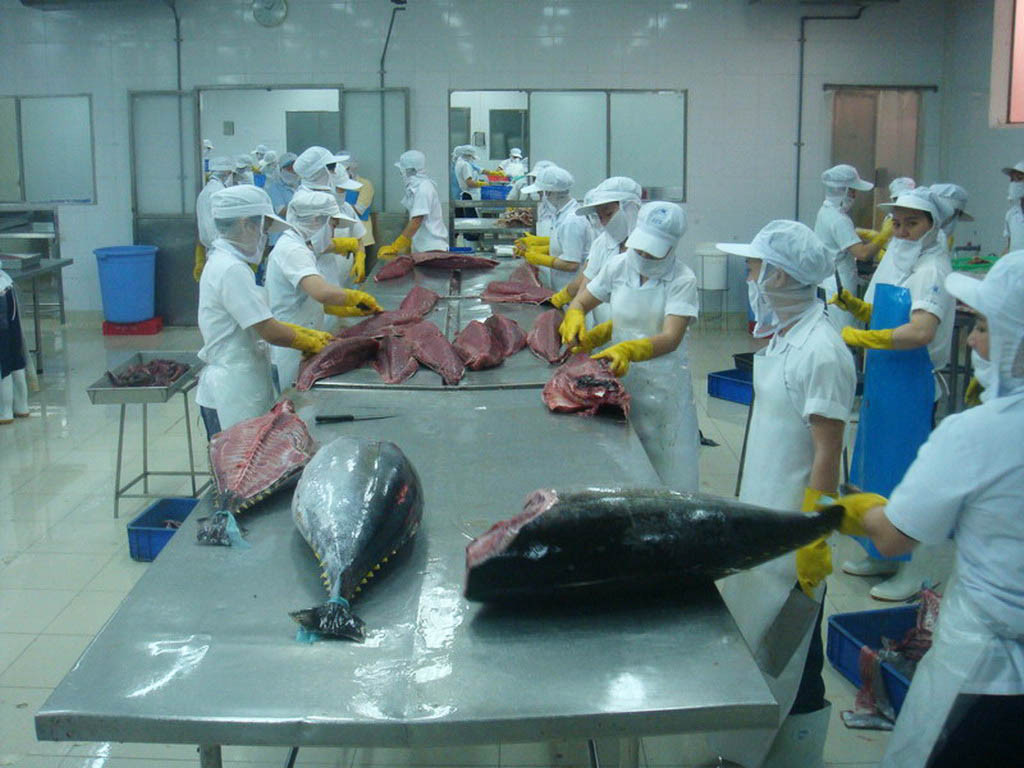 Bộ NN&amp;PTNT yêu cầu doanh nghiệp chỉ thu mua hải sản rõ nguồn gốc, và có giấy chứng nhận ATTP.