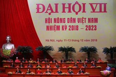 Agribank – Luôn đồng hành cùng giai cấp Nông dân Việt Nam ảnh 3