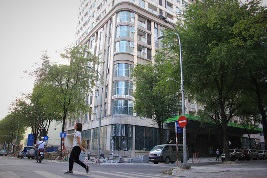 Hơn 90 dự án ở TP HCM đang bị thanh tra ảnh 4