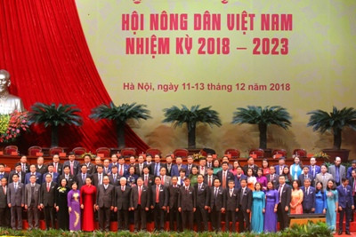 Agribank – Luôn đồng hành cùng giai cấp Nông dân Việt Nam ảnh 1