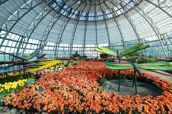 Đón giáng sinh, năm mới phong cách Châu Âu ngay giữa Nha Trang ảnh 2