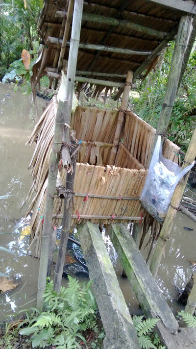 Hệ luỵ khó lường từ thực trạng “tiện” đâu phóng uế đấy ảnh 1