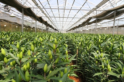 Agribank – Luôn đồng hành cùng giai cấp Nông dân Việt Nam ảnh 2