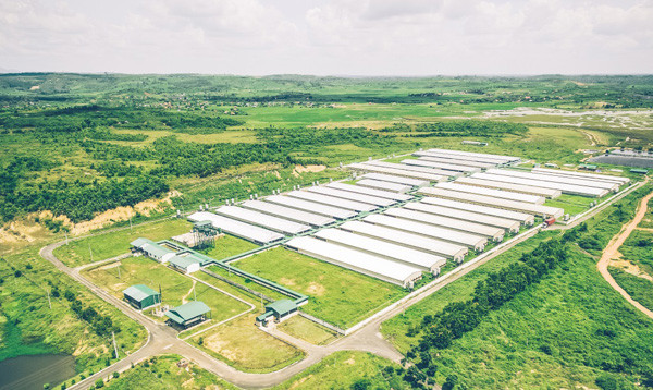 Cty cổ phần GreenFeed VN: Cung cấp giải pháp cho ngành thực phẩm sạch ảnh 1