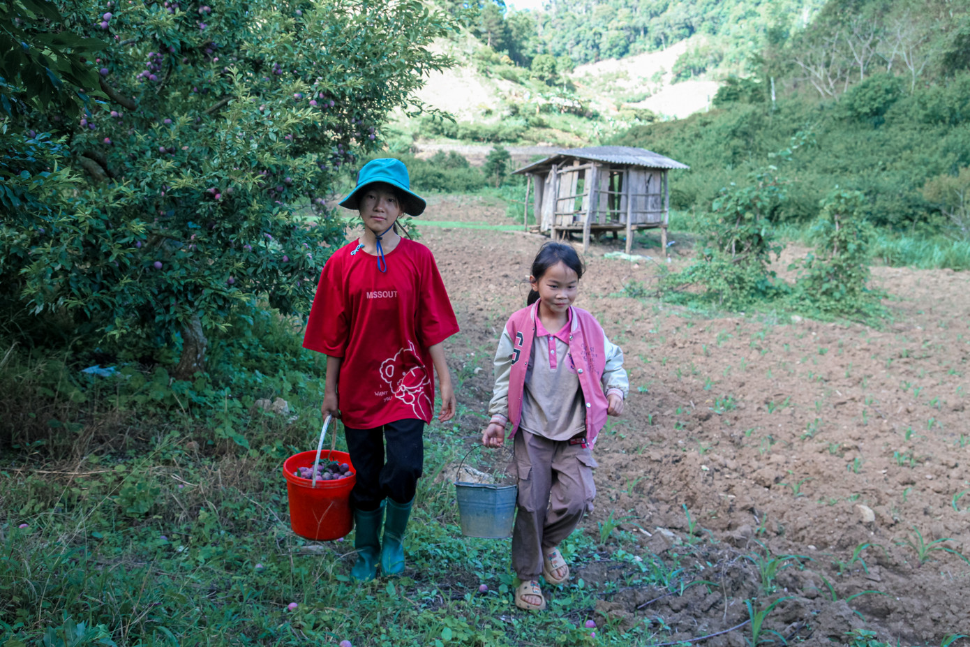 Mô hình này giúp gia đình anh Lang và các hộ gia đình khác phát triển kinh tế, cải thiện đời sống. Mô hình này giúp gia đình anh Lang và các hộ gia đình khác phát triển kinh tế, cải thiện đời sống.