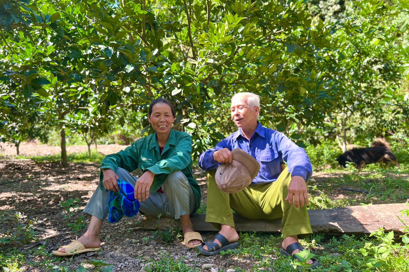 Khoảnh khắc thư giãn sau buổi làm vườn của vợ chồng ông Son – bà Lâm.