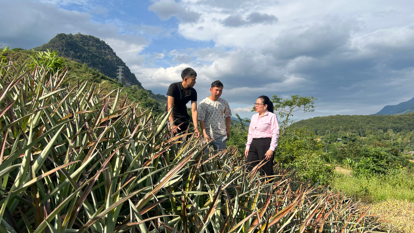 Thời gian đầu, người dân tại Na Sang được sự hỗ trợ vay vốn từ Ngân hàng Chính sách xã hội. Thời gian đầu, người dân tại Na Sang được sự hỗ trợ vay vốn từ Ngân hàng Chính sách xã hội.