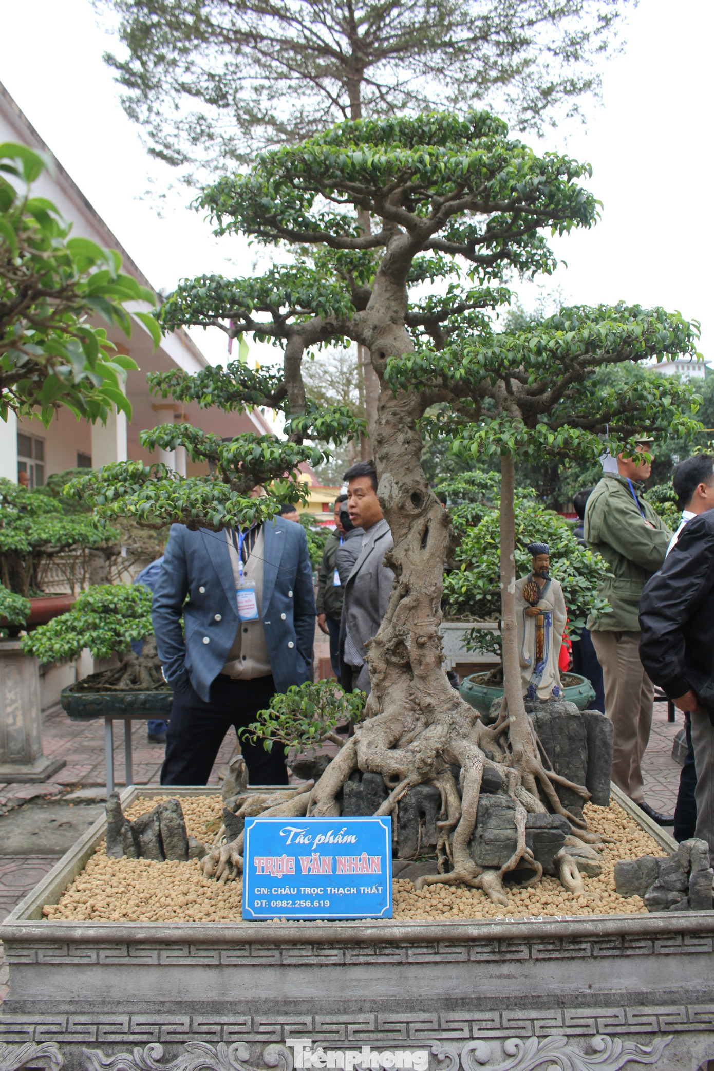 Một số tác phẩm nhận được sự tán thưởng của du khách tại Hội chợ Triển lãm giới thiệu các sản phẩm làng nghề mộc, sinh vật cảnh 2024. Một số tác phẩm nhận được sự tán thưởng của du khách tại Hội chợ Triển lãm giới thiệu các sản phẩm làng nghề mộc, sinh vật cảnh 2024.