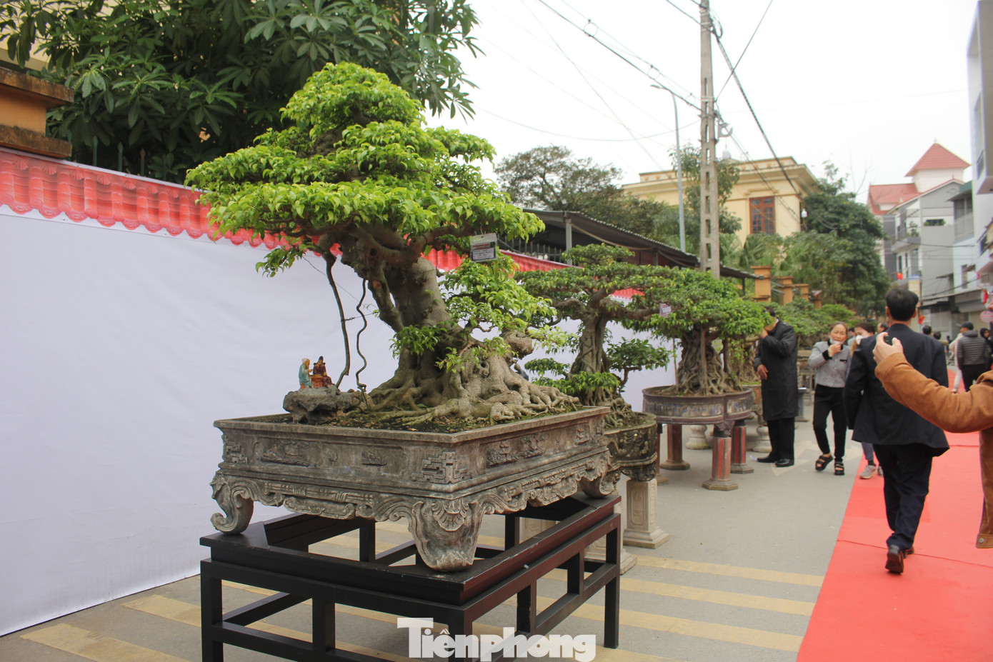 Được biết, triển lãm lần này có tới 60 gian hàng với hàng trăm sản phẩm đồ gỗ mỹ nghệ đặc sắc, nhiều sản phẩm đạt giải cao tại các cuộc thi của cả nước và thành phố; có trên 500 tác phẩm cây cảnh, cây bon sai và trên 40 sản phẩm xe đạp cổ, cùng nhiều sản phẩm dịch vụ khác của các nghệ nhân giỏi, các nghệ nhân được Nhà nước công nhận, các hộ sản xuất, kinh doanh tiêu biểu trong và ngoài nước… Được biết, triển lãm lần này có tới 60 gian hàng với hàng trăm sản phẩm đồ gỗ mỹ nghệ đặc sắc, nhiều sản phẩm đạt giải cao tại các cuộc thi của cả nước và thành phố; có trên 500 tác phẩm cây cảnh, cây bon sai và trên 40 sản phẩm xe đạp cổ, cùng nhiều sản phẩm dịch vụ khác của các nghệ nhân giỏi, các nghệ nhân được Nhà nước công nhận, các hộ sản xuất, kinh doanh tiêu biểu trong và ngoài nước…