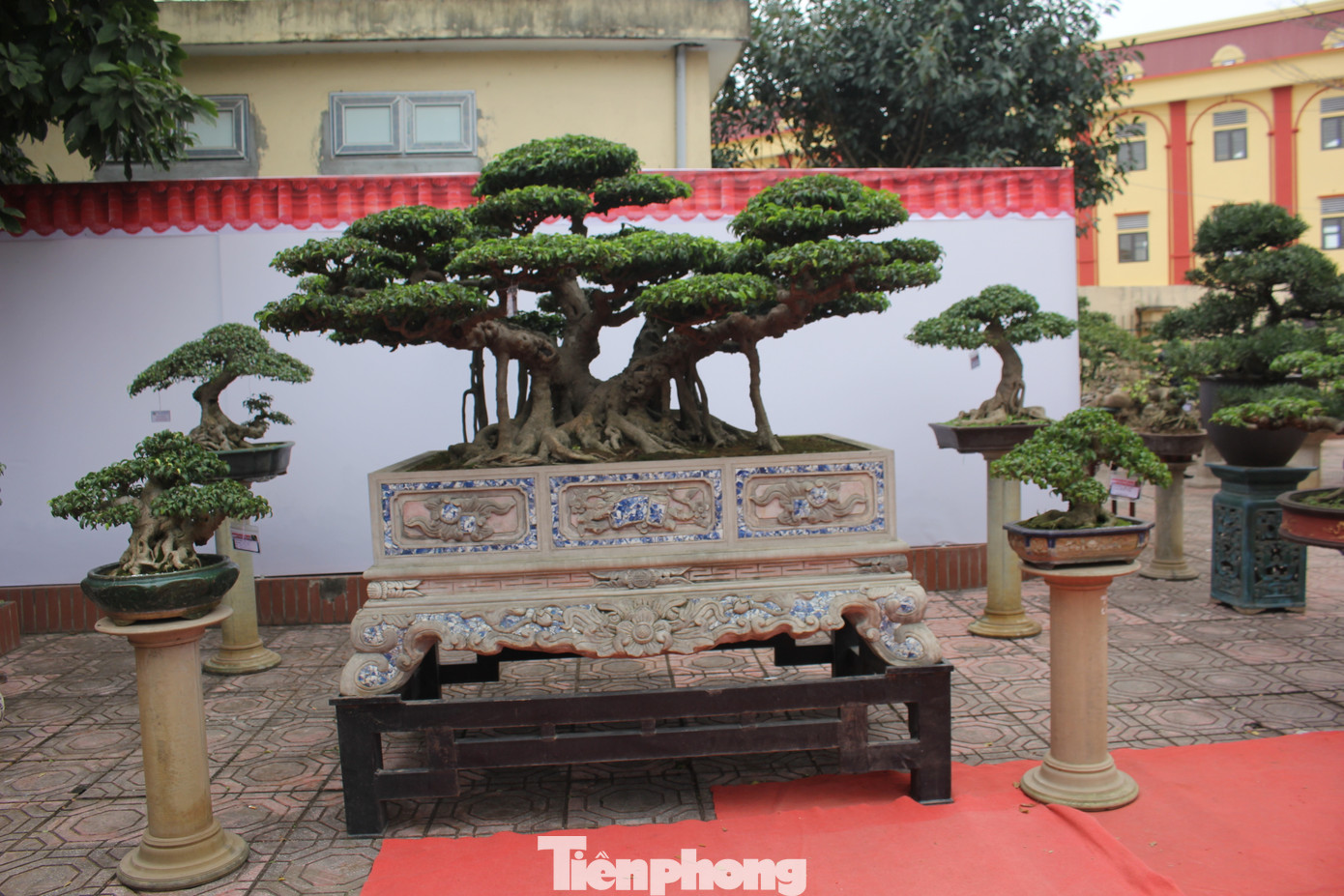 Một số tác phẩm nhận được sự tán thưởng của du khách tại Hội chợ Triển lãm giới thiệu các sản phẩm làng nghề mộc, sinh vật cảnh 2024. Một số tác phẩm nhận được sự tán thưởng của du khách tại Hội chợ Triển lãm giới thiệu các sản phẩm làng nghề mộc, sinh vật cảnh 2024.