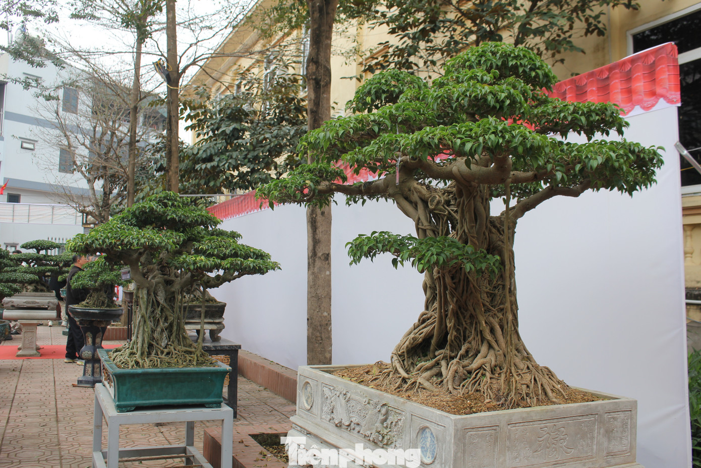 Một số tác phẩm nhận được sự tán thưởng của du khách tại Hội chợ Triển lãm giới thiệu các sản phẩm làng nghề mộc, sinh vật cảnh 2024. Một số tác phẩm nhận được sự tán thưởng của du khách tại Hội chợ Triển lãm giới thiệu các sản phẩm làng nghề mộc, sinh vật cảnh 2024.