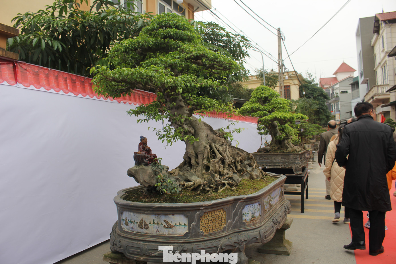 Cũng tại triển lãm, du khách còn được chiêm ngưỡng những tác phẩm bonsai "khủng". Cũng tại triển lãm, du khách còn được chiêm ngưỡng những tác phẩm bonsai "khủng".