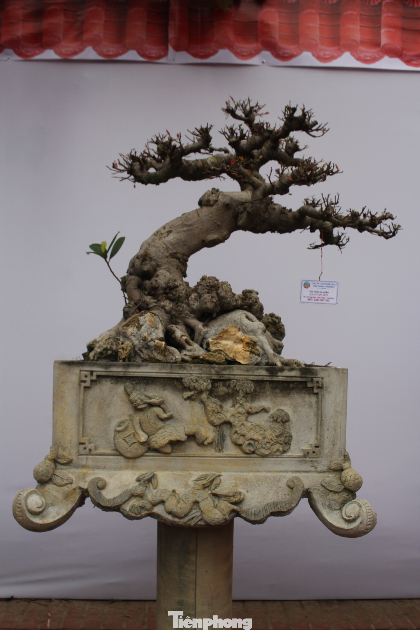 Một số tác phẩm nhận được sự tán thưởng của du khách tại Hội chợ Triển lãm giới thiệu các sản phẩm làng nghề mộc, sinh vật cảnh 2024. Một số tác phẩm nhận được sự tán thưởng của du khách tại Hội chợ Triển lãm giới thiệu các sản phẩm làng nghề mộc, sinh vật cảnh 2024.