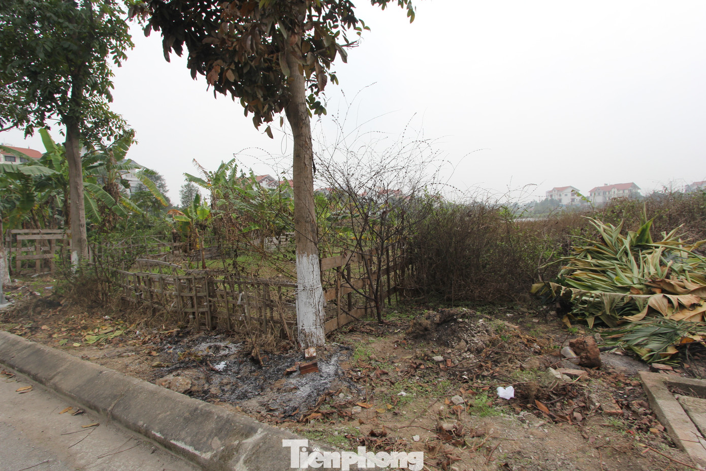 Nhiều dự án nhà ở xã hội, nhà ở cho người thu nhập thấp tại Bắc Ninh chậm triển khai.