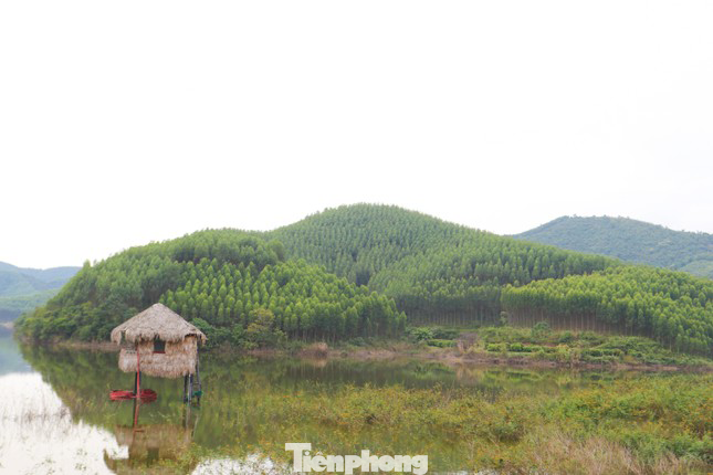 Dự án Khu công viên nghĩa trang sinh thái xã Đông Hưng được thực hiện trên khu đất có tổng diện tích khoảng 150,48 ha đất rừng sản xuất (chiếm 99,46%).