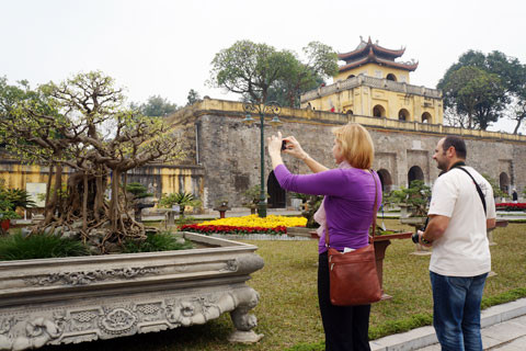 Nhiều cây cảnh lâu năm được chủ nhân mang tới với mục đích giao lưu