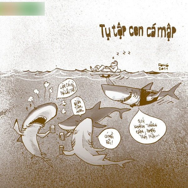 Khi cá mập tụ họp với nhau, đó gọi là... 