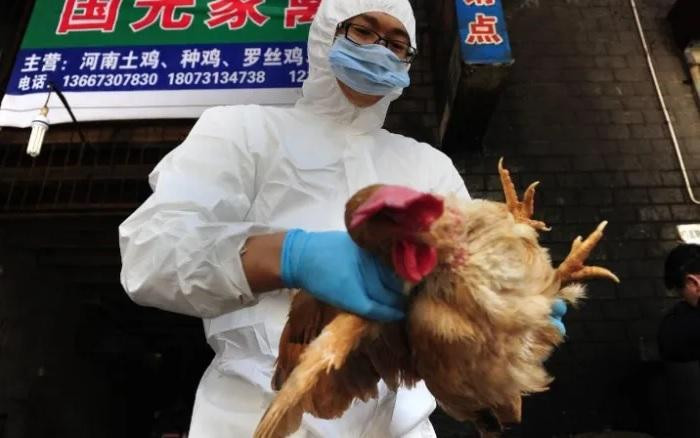 Trung Quốc từng đối mặt nhiều đợt dịch cúm gia cầm ở người. Ảnh: Getty Images.