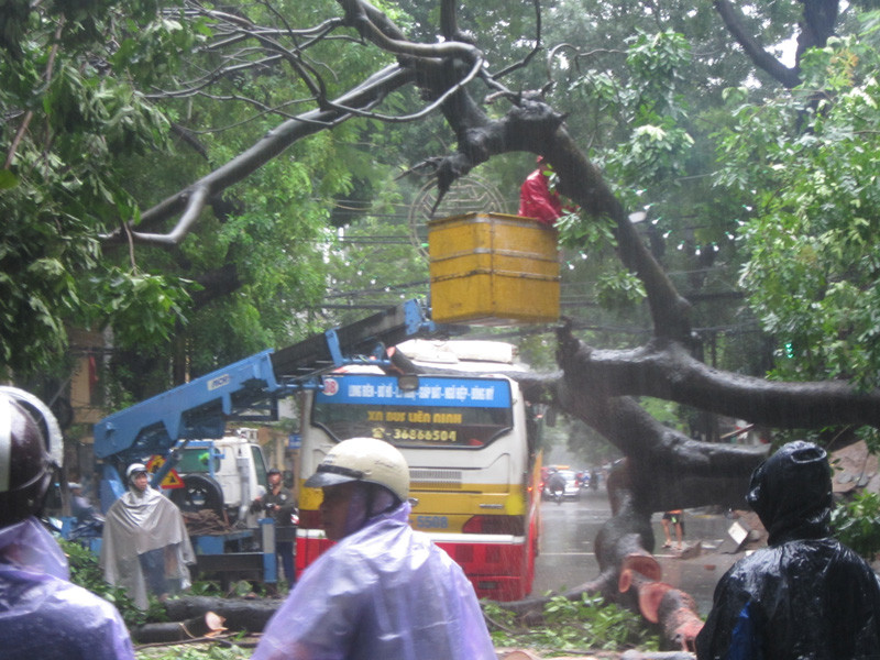 Công nhân môi trường đô thị cắt cây