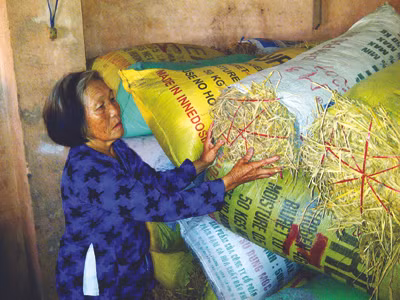Bà Nùng, ngót 30 năm gắn bó với tình tro bụi. Ảnh: Trần Tuấn . Bà Nùng, ngót 30 năm gắn bó với tình tro bụi. Ảnh: Trần Tuấn