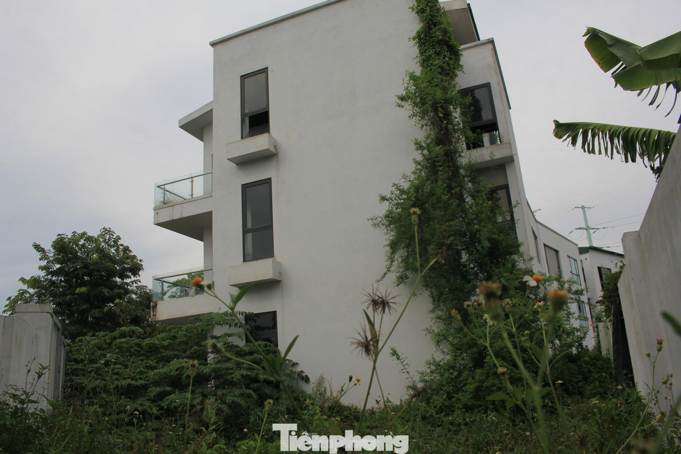 Hàng loạt biệt thự tại Khu đô thị sinh thái Xuân Phương bị bỏ hoang, cỏ dại mọc um tùm. Hàng loạt biệt thự tại Khu đô thị sinh thái Xuân Phương bị bỏ hoang, cỏ dại mọc um tùm.