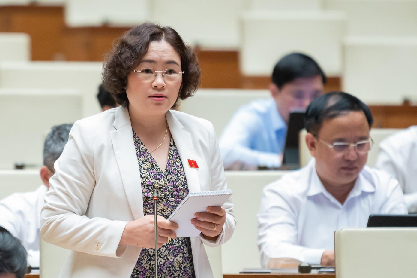 Đại biểu Lò Thị Luyến (Điện Biên).