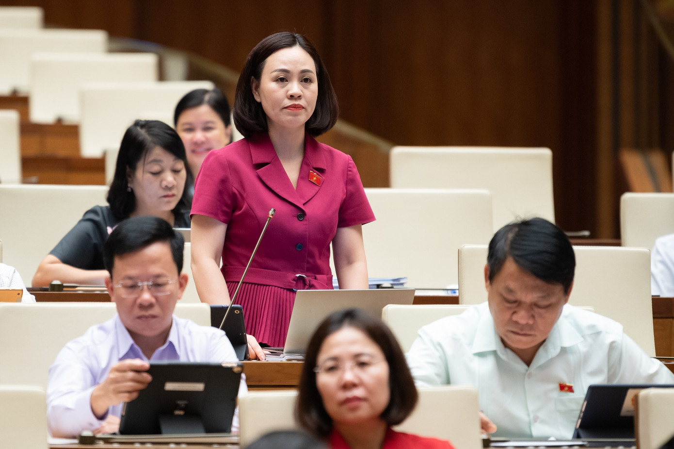 Đại biểu Trần Thị Hồng Thanh (Ninh Bình) Đại biểu Trần Thị Hồng Thanh (Ninh Bình)