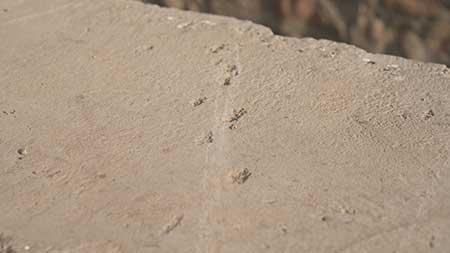 Có thể đây là dấu vết mảnh kim loại găm vào sau vụ nổ. Ảnh: CNN.