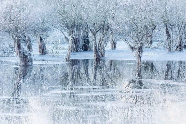 Ảnh chụp hồ nước đóng băng ở miền bắc nước Ý vừa giành giải thưởng Nhiếp ảnh gia động vật hoang dã của năm 2021. Ảnh: Cristiano Vendramin.