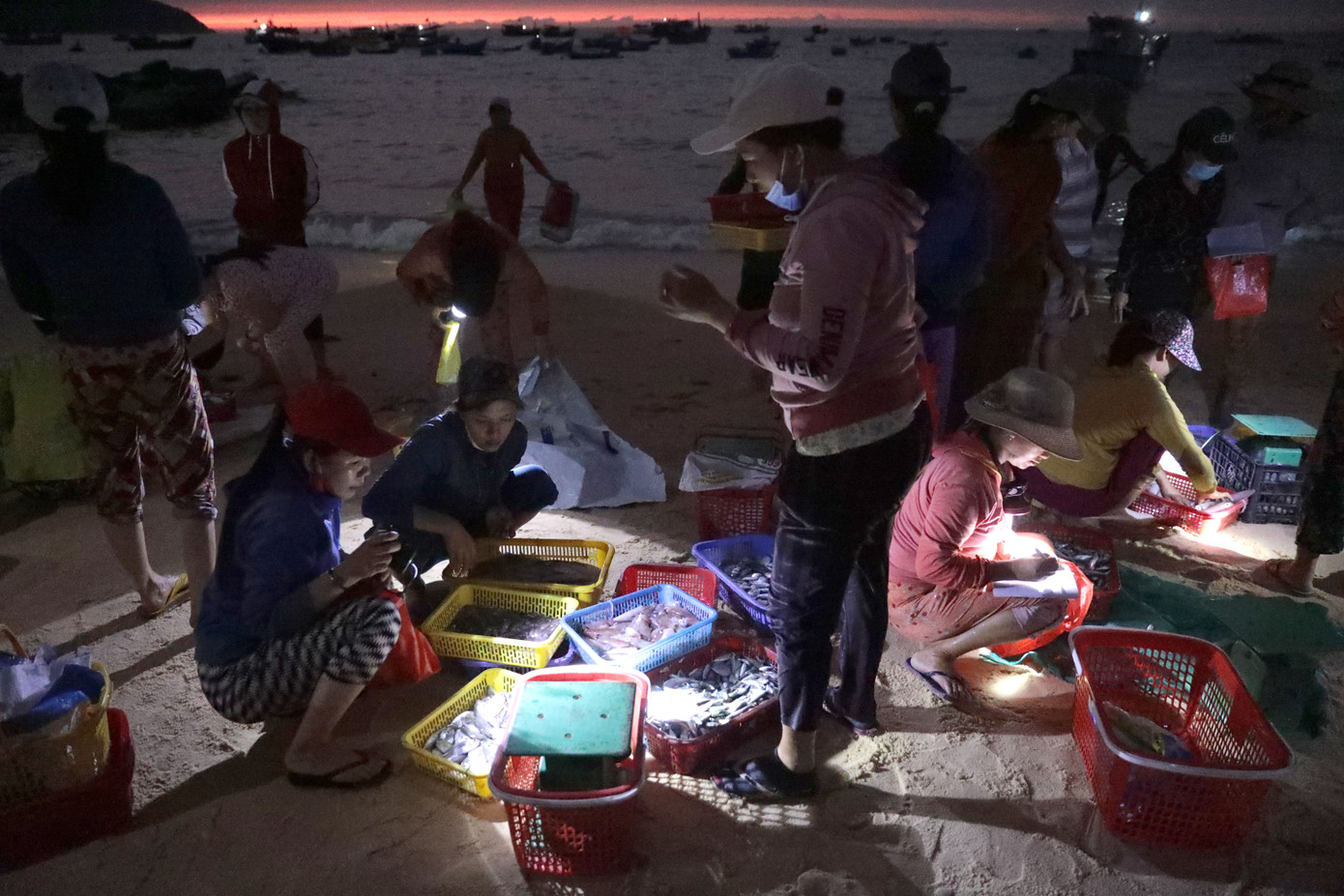 Bến cá tại làng chài An Hải là điểm đến không thể bỏ qua cho những ai yêu thích hải sản tươi ngon. Đây là nơi tập trung nhiều hải sản tươi sống vừa được đánh bắt. Để có cơ hội thưởng thức những loại hải sản ngon nhất, bạn nên tranh thủ dậy sớm vào buổi sáng để tận tay rinh về rổ hải sản tươi ngon cho bữa ăn của mình.