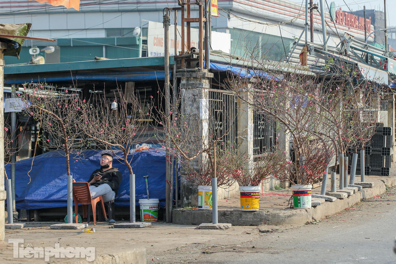 Theo ghi nhận của PV những ngày gần đây, hàng trăm cây, cành đào bắt đầu xuống phố, được các thương lái bày bán dọc vỉa hè ngoài chợ Quảng Bá (phường Quảng An, quận Tây Hồ). Hầu hết đào được bán là giống đào phai nở sớm, những cành cây này phục vụ để đón Noel và Tết Dương lịch đang cận kề. Theo ghi nhận của PV những ngày gần đây, hàng trăm cây, cành đào bắt đầu xuống phố, được các thương lái bày bán dọc vỉa hè ngoài chợ Quảng Bá (phường Quảng An, quận Tây Hồ). Hầu hết đào được bán là giống đào phai nở sớm, những cành cây này phục vụ để đón Noel và Tết Dương lịch đang cận kề.