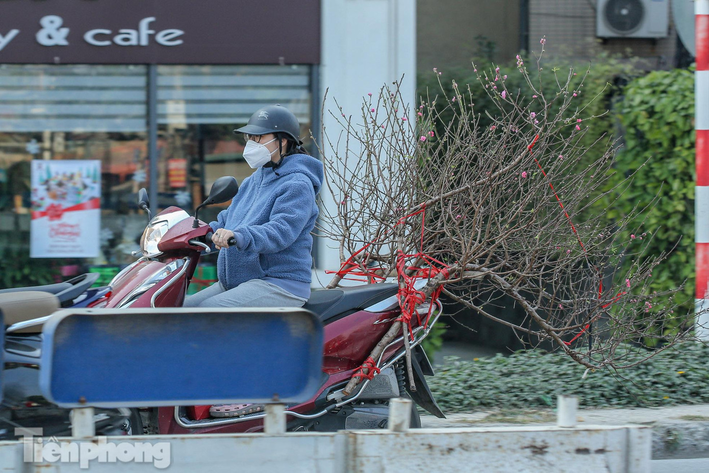 Nhìn thấy những cành đào báo hiệu không khí Tết đang cận kề. Nhìn thấy những cành đào báo hiệu không khí Tết đang cận kề.