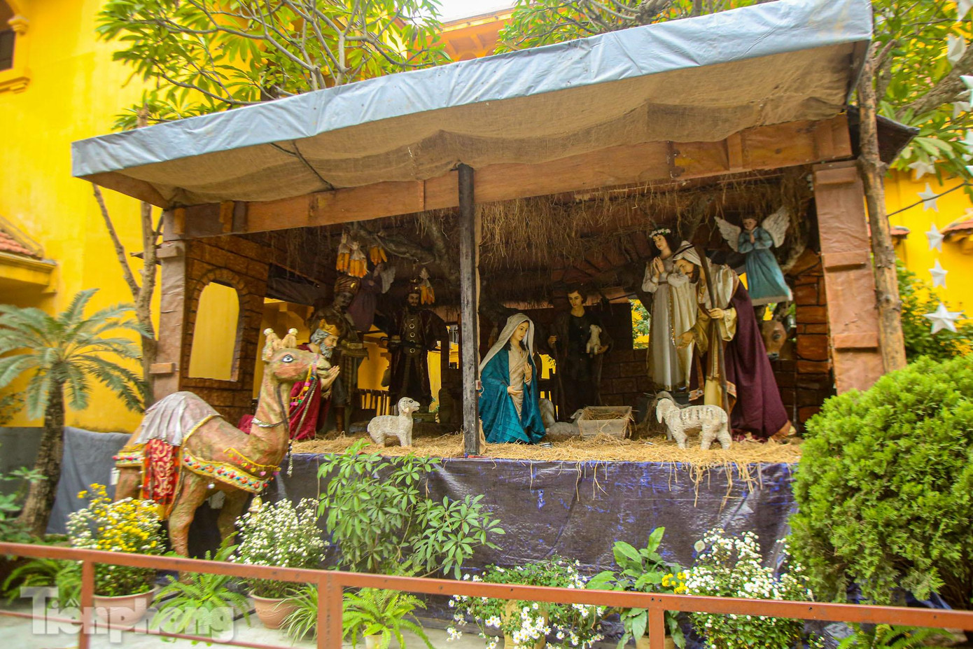 Trong khuôn viên nhà thờ trang trí tiểu cảnh Chúa Jesus ra đời tạo cảm giác ấm cúng.