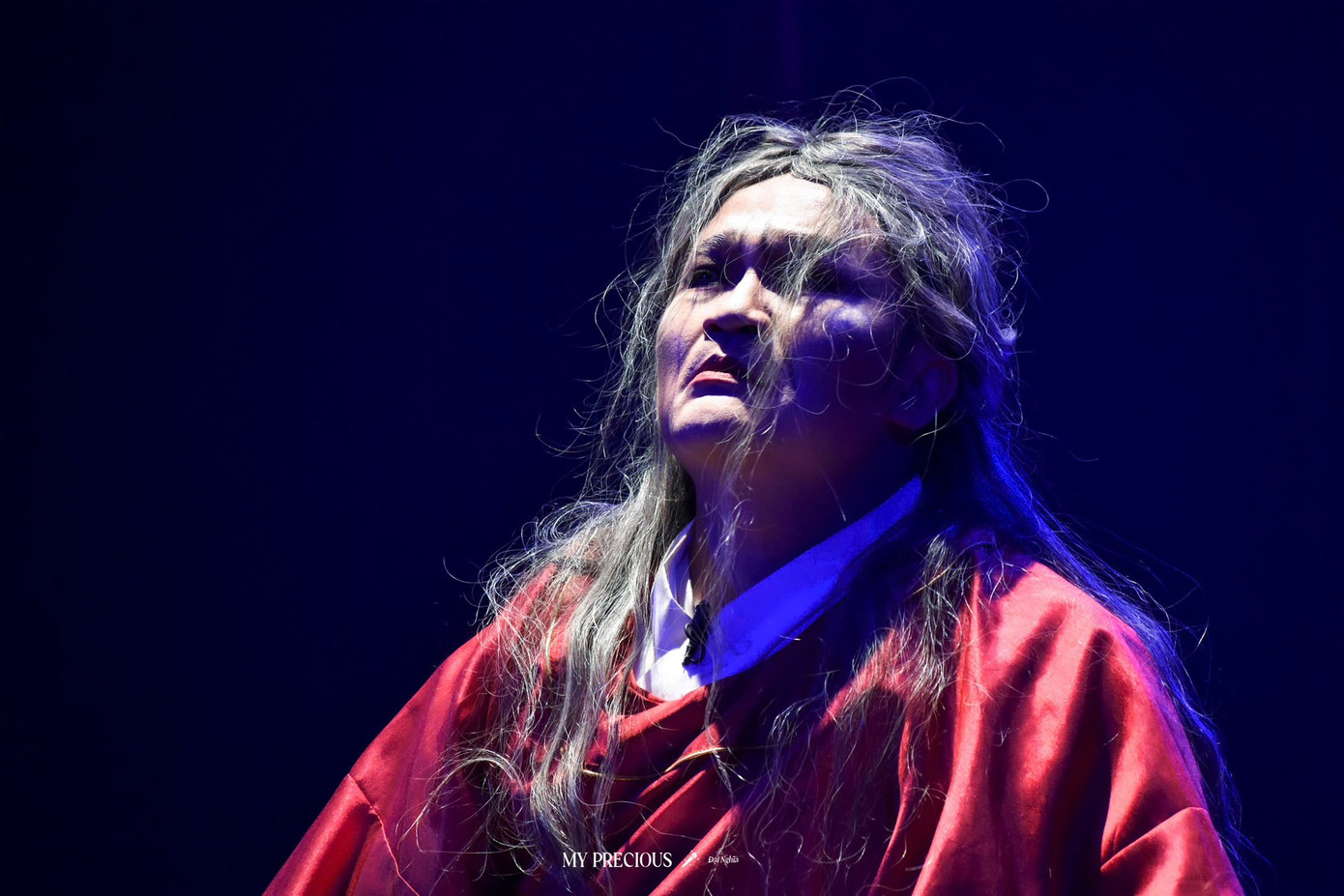 MC Đại Nghĩa trong vai Tạ Thanh diễn vở Lệ Chi Viên tối 4/5.