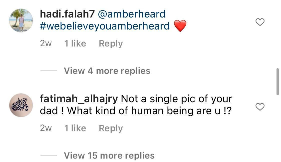 Một người dùng Instagram khác cũng trách Lily không đăng hình với bố