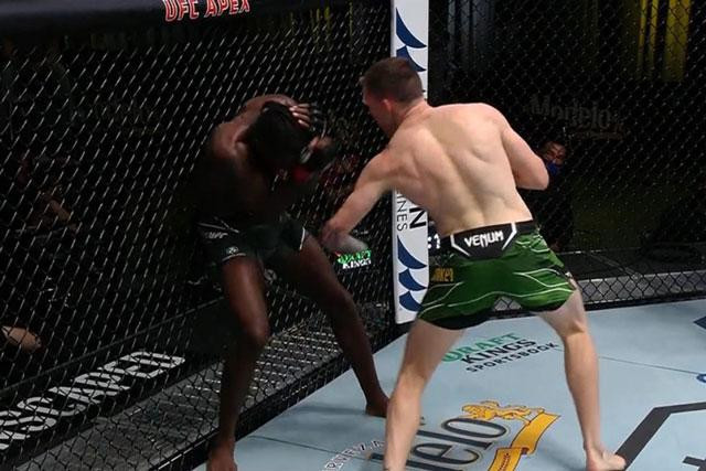 Cú đấm móc của Mullarkey khiến đối thủ ngã xuống sàn đấu. Cú đấm móc của Mullarkey khiến đối thủ ngã xuống sàn đấu.