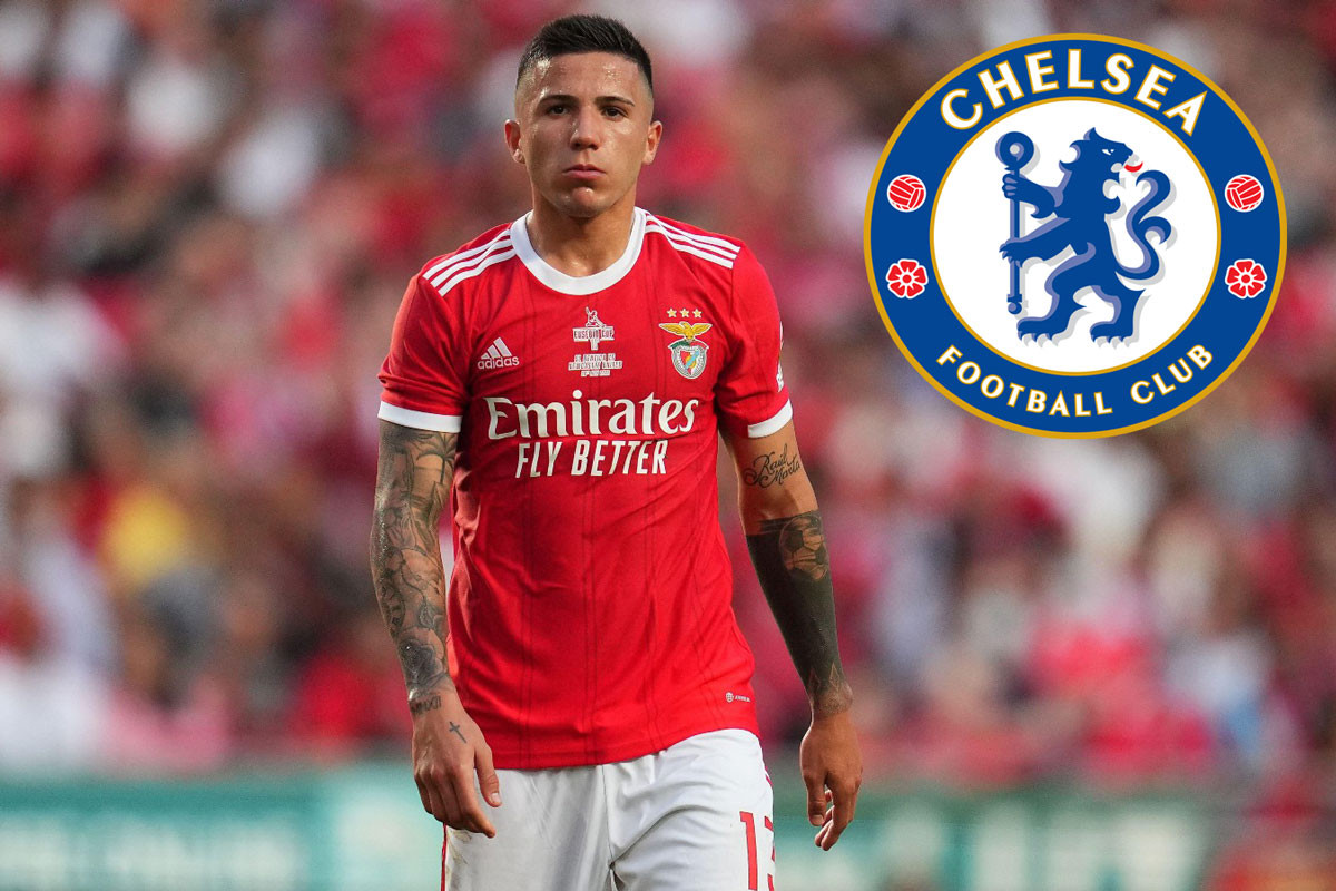 Chelsea muốn mua Enzo Fernandez trước khi kỳ chuyển nhượng mùa Đông đóng cửa. Chelsea muốn mua Enzo Fernandez trước khi kỳ chuyển nhượng mùa Đông đóng cửa.