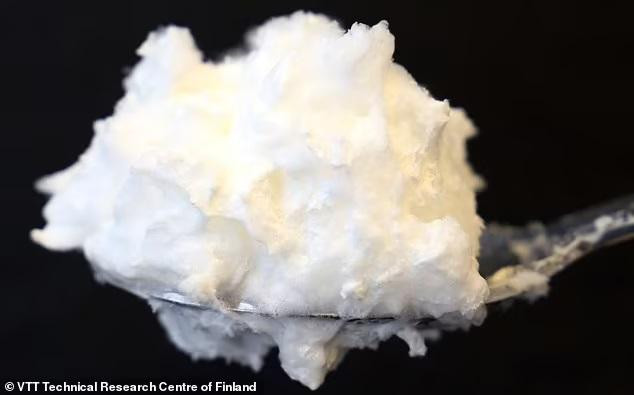 Các nhà nghiên cứu cho biết, protein trong lòng trắng trứng được tạo ra từ nấm có &quot;đặc tính tạo bọt tuyệt vời&quot;. Ảnh Daily Mail.