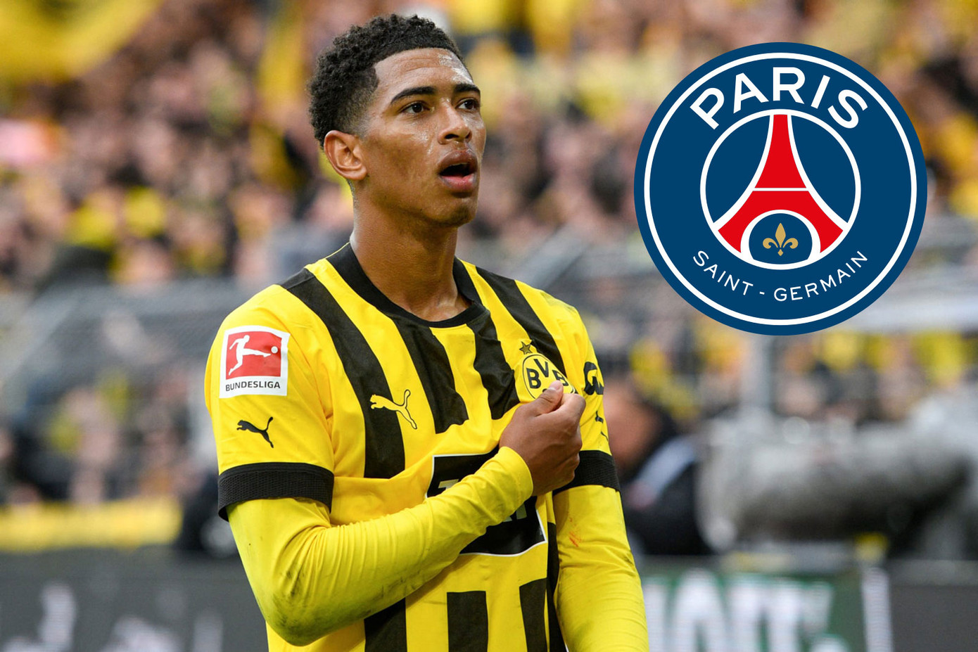 PSG vừa nhảy vào cuộc đua giành Bellingham. PSG vừa nhảy vào cuộc đua giành Bellingham.