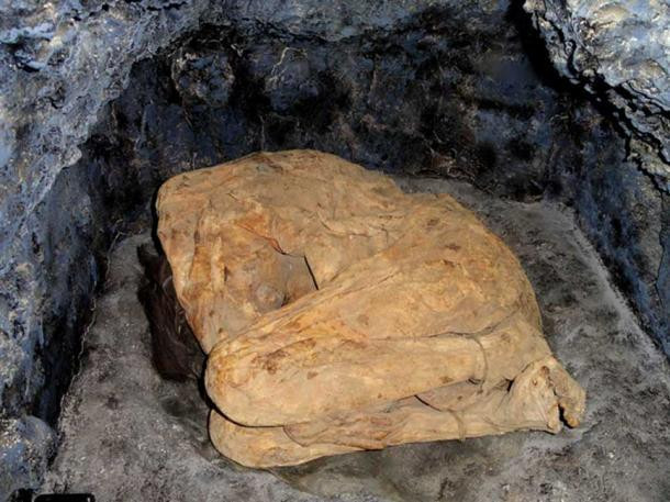 Xác ướp cô gái 15 tuổi hiện được đặt tại Bảo tàng Con người ở San Diego.