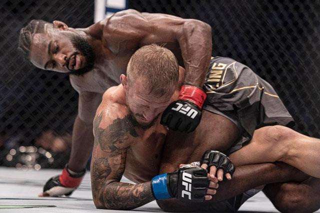 Aljamain Sterling ra đòn chính xác.