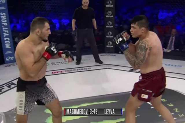 Shamidkhan Magomedov đã có đai vô địch hạng bán trung LFA sau khi hạ gục Alfonso Leyva. Shamidkhan Magomedov đã có đai vô địch hạng bán trung LFA sau khi hạ gục Alfonso Leyva.