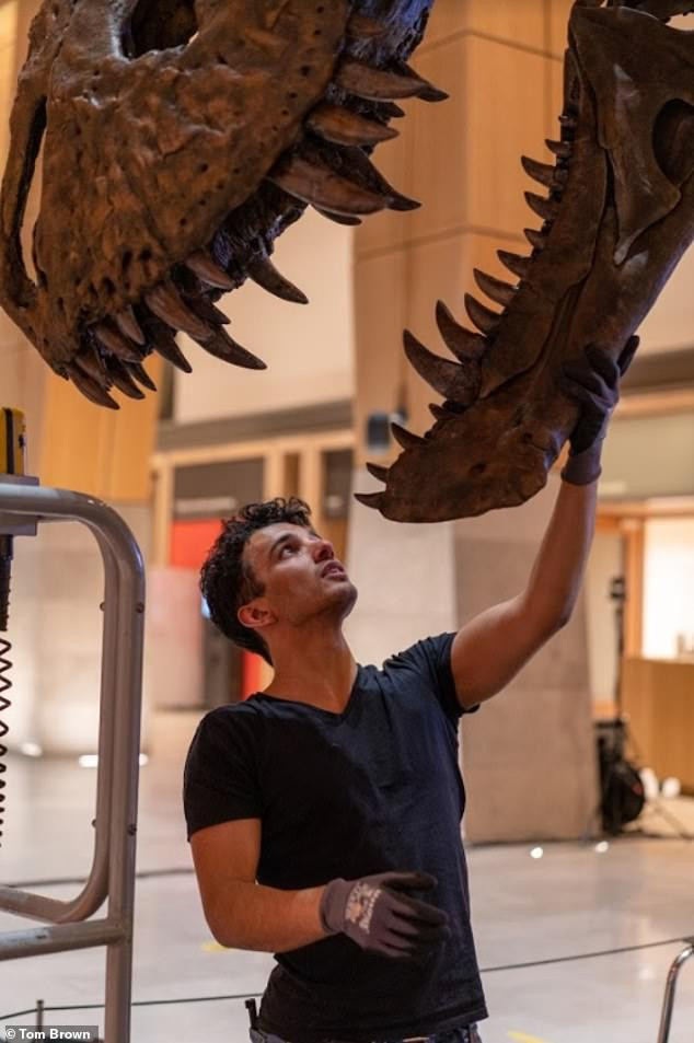 Pasha van Bijlert, nhà giải phẫu học tại Bảo tàng Naturalis.