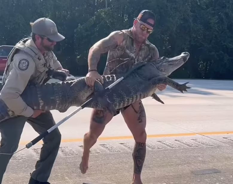 Công việc được hoàn thành nhờ sự giúp đỡ của một cảnh sát. Công việc được hoàn thành nhờ sự giúp đỡ của một cảnh sát.