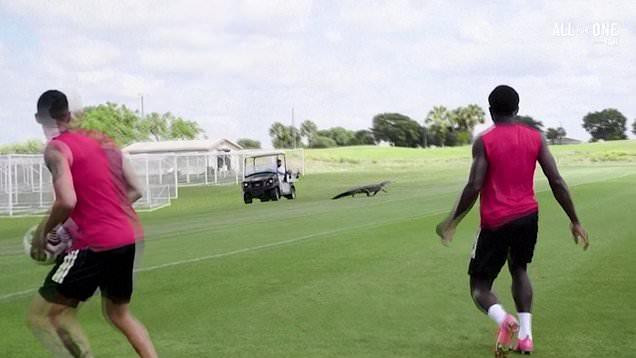 Các cầu thủ sợ hãi tìm cách "né" vị khách bất ngờ.