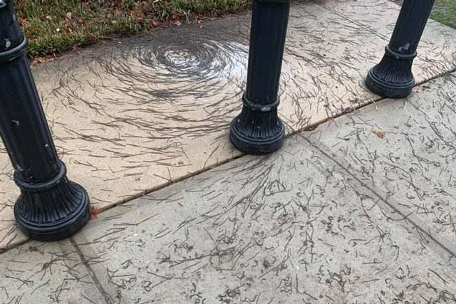 Hiện tượng giun đất bò theo nhau thành hình vòng tròn. Hiện tượng giun đất bò theo nhau thành hình vòng tròn.