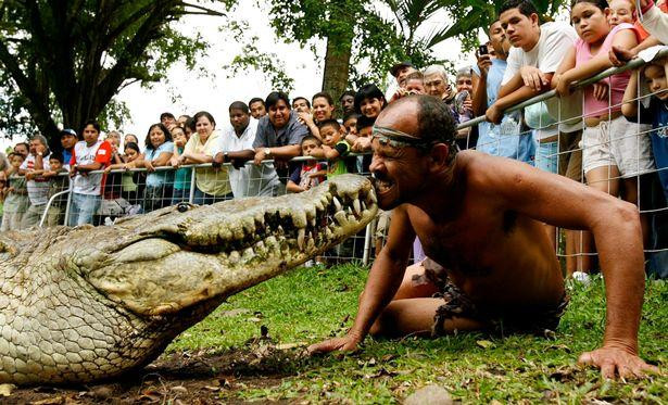 Đôi bạn tri kỷ có rất nhiều người hâm mộ. Đôi bạn tri kỷ có rất nhiều người hâm mộ.